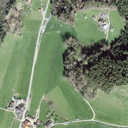 Satellite imagery of Diepoldshusenegg, CH
