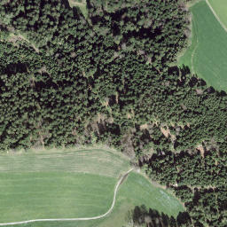 Satellite imagery of Diepoldshusenegg, CH