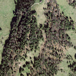 Satellite imagery of Schynezingge, CH