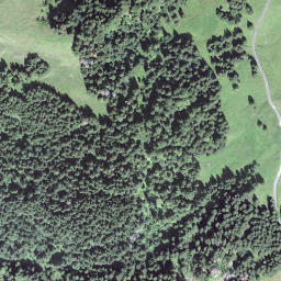 Satellite imagery of Feldimoosegg, CH