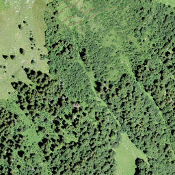 Satellite imagery of Ijenstock, CH