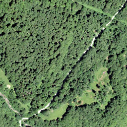 Satellite imagery of Ijenstock, CH