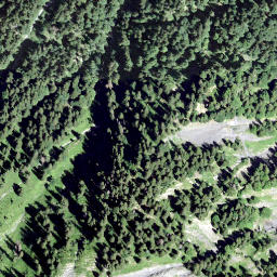 Satellite imagery of Horn, CH