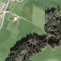Satellite imagery of Diepoldshusenegg, CH
