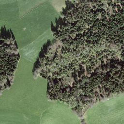 Satellite imagery of Diepoldshusenegg, CH