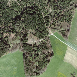 Satellite imagery of Diepoldshusenegg, CH