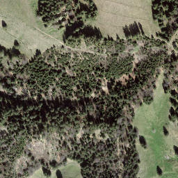 Satellite imagery of Schynezingge, CH