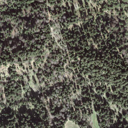 Satellite imagery of Fuchsegg, CH