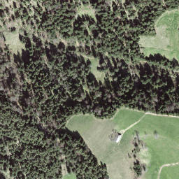 Satellite imagery of Fuchsegg, CH