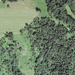 Satellite imagery of Hofarni, CH