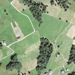 Satellite imagery of Schafberg, CH