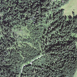 Satellite imagery of Feldimoosegg, CH