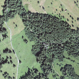 Satellite imagery of Feldimoosegg, CH