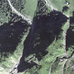 Satellite imagery of Tomlishorn, CH