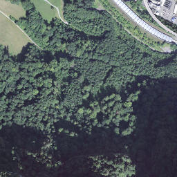 Satellite imagery of Haslihorn, CH