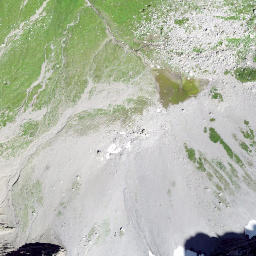 Satellite imagery of Hinter Gassenstock, CH