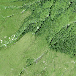 Satellite imagery of Risetenhoren, CH