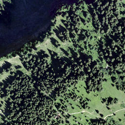 Satellite imagery of Tschoggen, CH