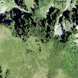 Satellite imagery of Horn, CH