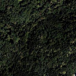 Satellite imagery of Schloss Pfeilerhof, AT