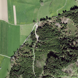 Satellite imagery of Bantiger, CH