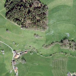 Satellite imagery of Diepoldshusenegg, CH