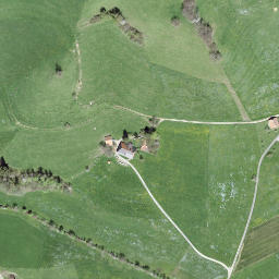 Satellite imagery of Diepoldshusenegg, CH