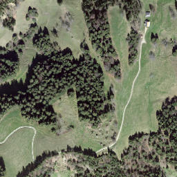 Satellite imagery of Schynezingge, CH