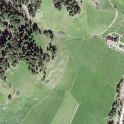 Satellite imagery of Fuchsegg, CH