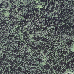 Satellite imagery of Risetenegg, CH