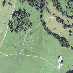 Satellite imagery of Stäfeliegg, CH