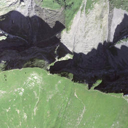 Satellite imagery of Tomlishorn, CH
