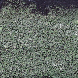 Satellite imagery of Lopper, CH