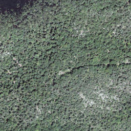 Satellite imagery of Lopper, CH