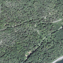 Satellite imagery of Lopper, CH