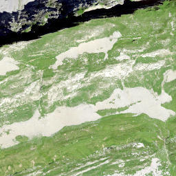 Satellite imagery of Büchel, CH