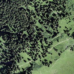 Satellite imagery of Tschoggen, CH