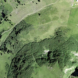 Satellite imagery of Tschoggen, CH