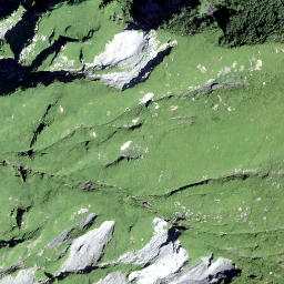 Satellite imagery of Schafbodenegg, CH