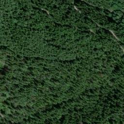 Satellite imagery of Gold Bug Mine, US