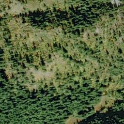 Satellite imagery of Martin Peak, US