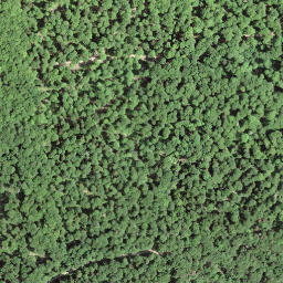 Satellite imagery of Tablettes, CH