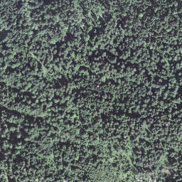 Satellite imagery of Risetenegg, CH