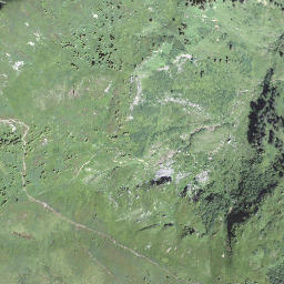 Satellite imagery of Mittaggüpfi, CH
