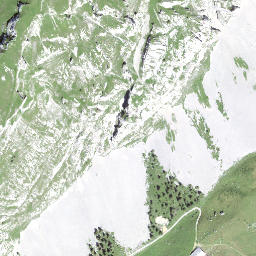 Satellite imagery of Tomlishorn, CH