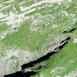 Satellite imagery of Büchel, CH