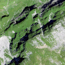 Satellite imagery of Büchel, CH