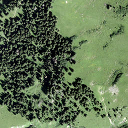 Satellite imagery of Tschoggen, CH