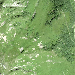 Satellite imagery of Tschoggen, CH