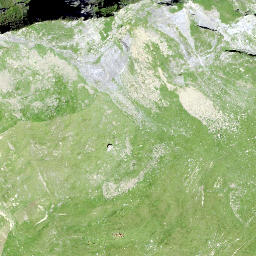 Satellite imagery of Girenspitz, CH